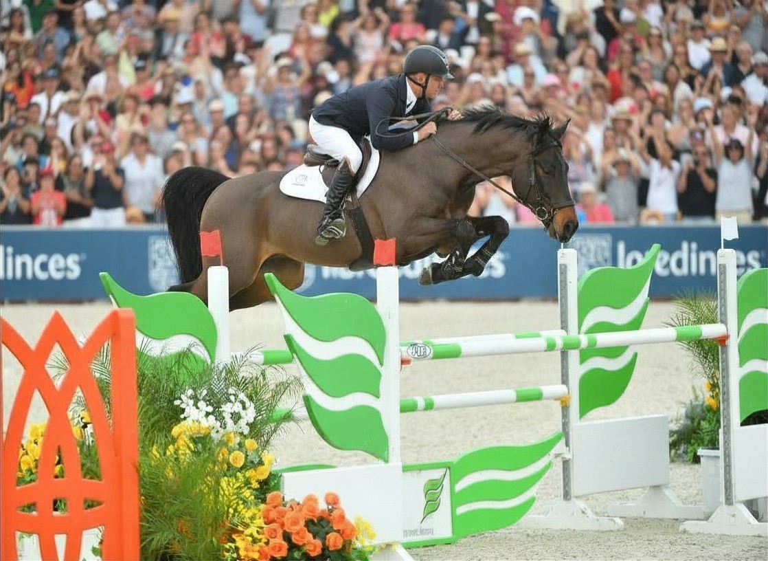 Developing Jumpers — horse and rider in competition